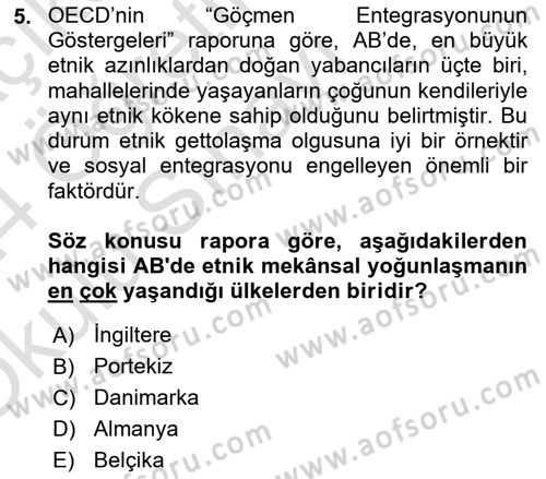 Göç Sosyolojisi Dersi 2023 - 2024 Yılı Yaz Okulu Sınav Soruları 5. Soru