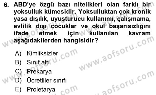 Göç Sosyolojisi Dersi 2023 - 2024 Yılı Yaz Okulu Sınav Soruları 6. Soru