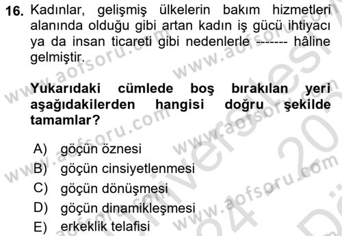 Göç Sosyolojisi Dersi 2024 - 2025 Yılı (Vize) Ara Sınav Soruları 16. Soru
