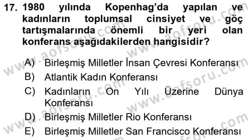 Göç Sosyolojisi Dersi 2024 - 2025 Yılı (Vize) Ara Sınav Soruları 17. Soru