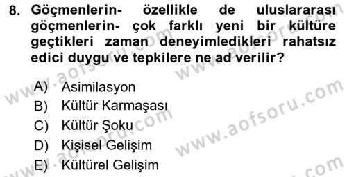 Göç Sosyolojisi Dersi 2024 - 2025 Yılı (Vize) Ara Sınav Soruları 8. Soru