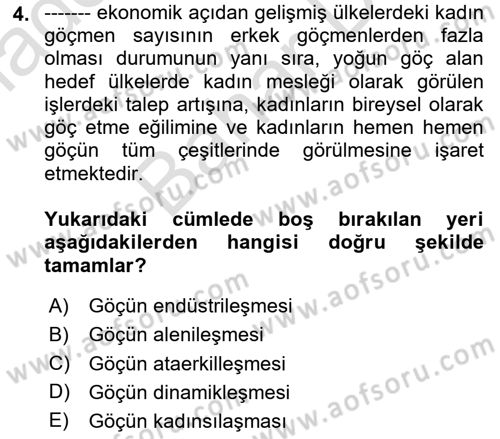 Göç Sosyolojisi Dersi 2024 - 2025 Yılı (Final) Dönem Sonu Sınav Soruları 4. Soru