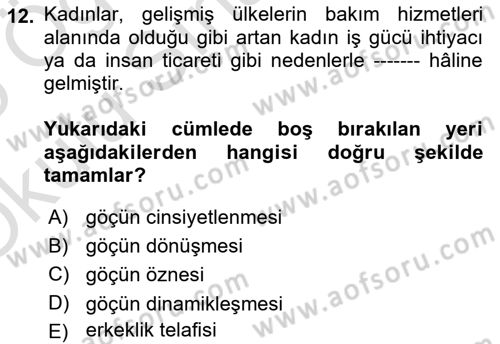 Göç Sosyolojisi Dersi 2024 - 2025 Yılı Yaz Okulu Sınav Soruları 12. Soru