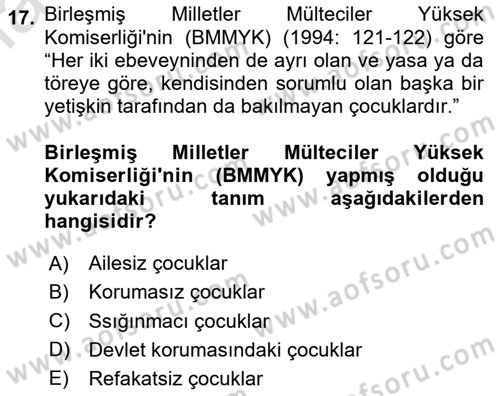 Göç Sosyolojisi Dersi 2024 - 2025 Yılı Yaz Okulu Sınav Soruları 17. Soru