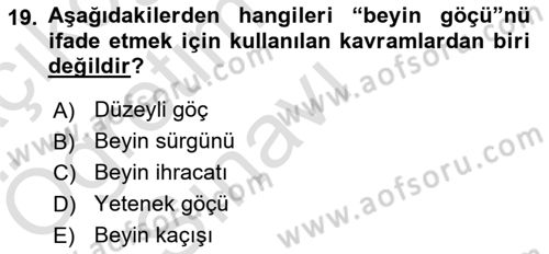 Göç Sosyolojisi Dersi 2024 - 2025 Yılı Yaz Okulu Sınav Soruları 19. Soru