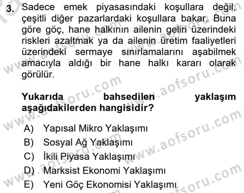 Göç Sosyolojisi Dersi 2024 - 2025 Yılı Yaz Okulu Sınav Soruları 3. Soru