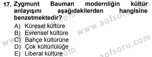 Çağdaş Sosyoloji Kuramları Dersi 2012 - 2013 Yılı (Vize) Ara Sınavı 17. Soru