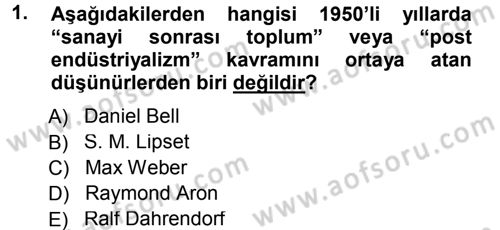 Çağdaş Sosyoloji Kuramları Dersi 2012 - 2013 Yılı (Final) Dönem Sonu Sınav Soruları 1. Soru