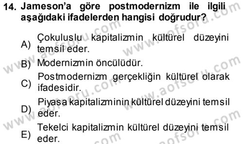 Çağdaş Sosyoloji Kuramları Dersi Ara Sınavı Deneme Sınav Soruları 14. Soru
