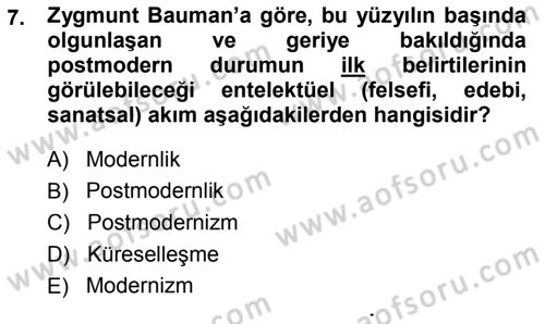 Çağdaş Sosyoloji Kuramları Dersi 2013 - 2014 Yılı (Final) Dönem Sonu Sınav Soruları 7. Soru