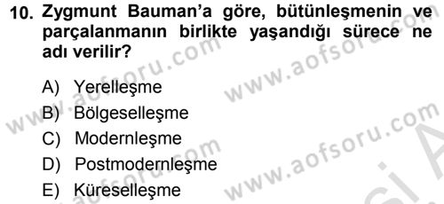 Çağdaş Sosyoloji Kuramları Dersi 2013 - 2014 Yılı Tek Ders Sınav Soruları 10. Soru