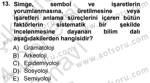 Çağdaş Sosyoloji Kuramları Dersi 2013 - 2014 Yılı Tek Ders Sınav Soruları 13. Soru