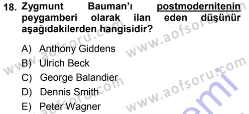 Çağdaş Sosyoloji Kuramları Dersi 2014 - 2015 Yılı (Vize) Ara Sınav Soruları 18. Soru