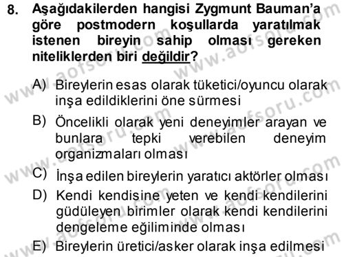 Çağdaş Sosyoloji Kuramları Dersi 2014 - 2015 Yılı (Final) Dönem Sonu Sınav Soruları 8. Soru