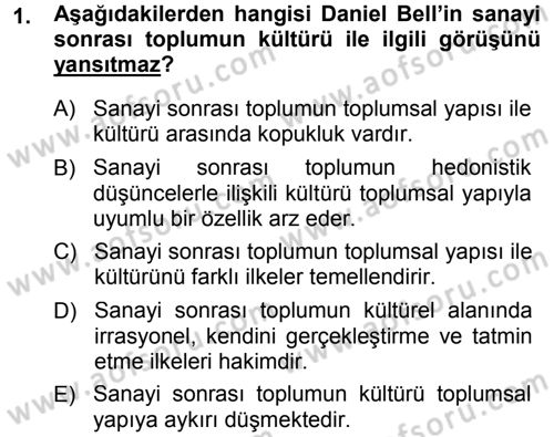 Çağdaş Sosyoloji Kuramları Dersi 2014 - 2015 Yılı Tek Ders Sınav Soruları 1. Soru