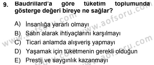 Çağdaş Sosyoloji Kuramları Dersi 2014 - 2015 Yılı Tek Ders Sınav Soruları 9. Soru