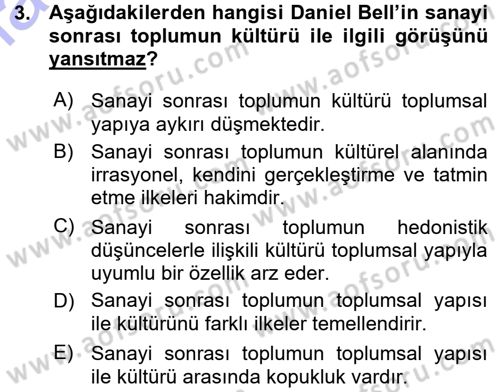 Çağdaş Sosyoloji Kuramları Dersi 2015 - 2016 Yılı (Vize) Ara Sınav Soruları 3. Soru