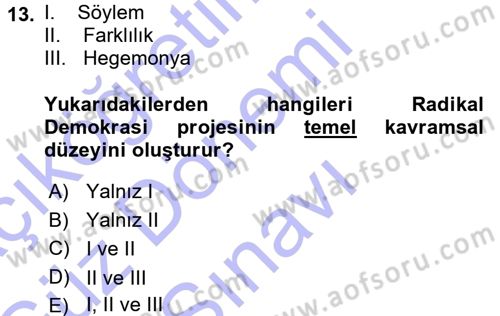 Çağdaş Sosyoloji Kuramları Dersi 2015 - 2016 Yılı (Final) Dönem Sonu Sınav Soruları 13. Soru