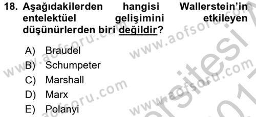 Çağdaş Sosyoloji Kuramları Dersi 2016 - 2017 Yılı 3 Ders Sınav Soruları 18. Soru