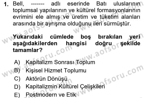 Çağdaş Sosyoloji Kuramları Dersi 2017 - 2018 Yılı 3 Ders Sınav Soruları 1. Soru