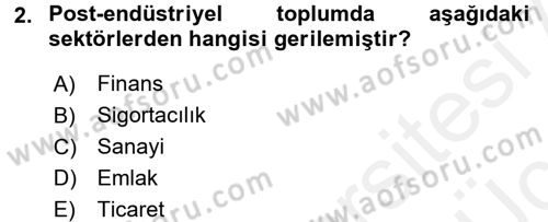 Çağdaş Sosyoloji Kuramları Dersi 2017 - 2018 Yılı 3 Ders Sınav Soruları 2. Soru