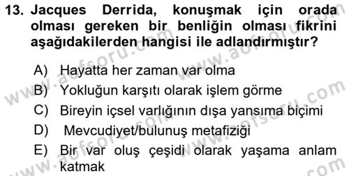 Çağdaş Sosyoloji Kuramları Dersi 2018 - 2019 Yılı 3 Ders Sınav Soruları 13. Soru