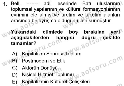 Çağdaş Sosyoloji Kuramları Dersi 2018 - 2019 Yılı (Vize) Ara Sınav Soruları 1. Soru