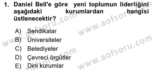 Çağdaş Sosyoloji Kuramları Dersi 2018 - 2019 Yılı Yaz Okulu Sınav Soruları 1. Soru