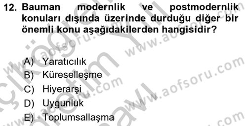 Çağdaş Sosyoloji Kuramları Dersi 2018 - 2019 Yılı Yaz Okulu Sınav Soruları 12. Soru