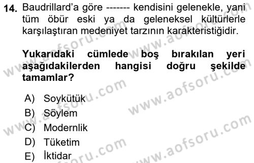 Çağdaş Sosyoloji Kuramları Dersi 2018 - 2019 Yılı Yaz Okulu Sınav Soruları 14. Soru