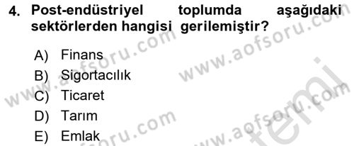 Çağdaş Sosyoloji Kuramları Dersi 2019 - 2020 Yılı (Vize) Ara Sınav Soruları 4. Soru