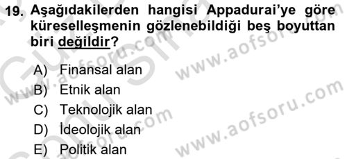 Çağdaş Sosyoloji Kuramları Dersi 2019 - 2020 Yılı (Final) Dönem Sonu Sınavı 19. Soru