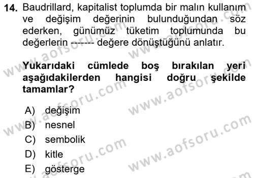 Çağdaş Sosyoloji Kuramları Dersi 2020 - 2021 Yılı Yaz Okulu Sınav Soruları 14. Soru