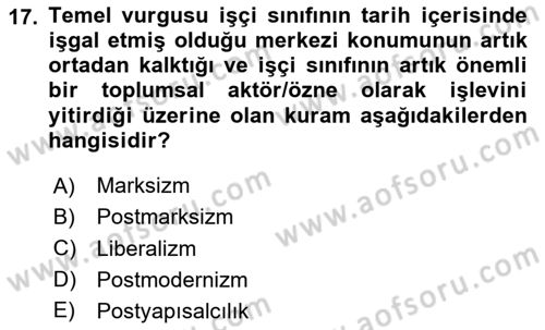 Çağdaş Sosyoloji Kuramları Dersi 2020 - 2021 Yılı Yaz Okulu Sınav Soruları 17. Soru