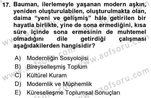 Çağdaş Sosyoloji Kuramları Dersi Ara Sınavı Deneme Sınav Soruları 17. Soru
