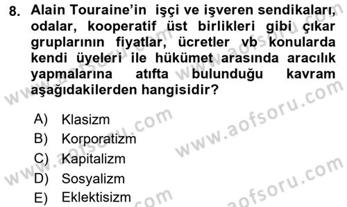 Çağdaş Sosyoloji Kuramları Dersi 2021 - 2022 Yılı (Vize) Ara Sınav Soruları 8. Soru