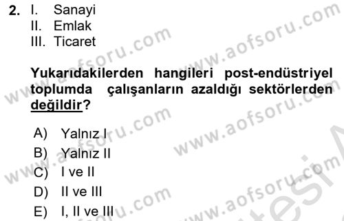 Çağdaş Sosyoloji Kuramları Dersi 2021 - 2022 Yılı (Final) Dönem Sonu Sınav Soruları 2. Soru