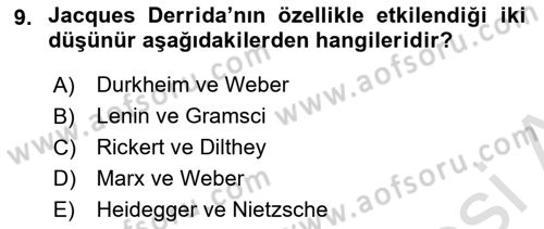 Çağdaş Sosyoloji Kuramları Dersi 2022 - 2023 Yılı (Final) Dönem Sonu Sınav Soruları 9. Soru