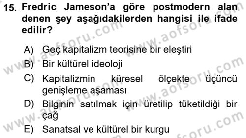 Çağdaş Sosyoloji Kuramları Dersi Ara Sınavı Deneme Sınav Soruları 15. Soru
