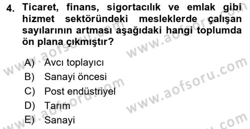 Çağdaş Sosyoloji Kuramları Dersi 2024 - 2025 Yılı (Final) Dönem Sonu Sınav Soruları 4. Soru