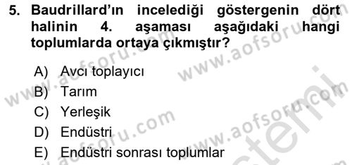 Çağdaş Sosyoloji Kuramları Dersi 2024 - 2025 Yılı (Final) Dönem Sonu Sınav Soruları 5. Soru