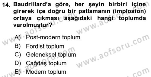 Çağdaş Sosyoloji Kuramları Dersi 2024 - 2025 Yılı Yaz Okulu Sınav Soruları 14. Soru