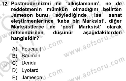 Çağdaş Sosyoloji Kuramları Dersi 2025 - 2026 Yılı (Vize) Ara Sınav Soruları 12. Soru