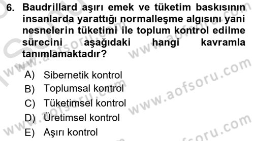 Çağdaş Sosyoloji Kuramları Dersi 2025 - 2026 Yılı (Final) Dönem Sonu Sınav Soruları 6. Soru