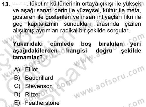 Çağdaş Sosyoloji Kuramları Dersi 2025 - 2026 Yılı Yaz Okulu Sınav Soruları 13. Soru