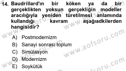 Çağdaş Sosyoloji Kuramları Dersi 2025 - 2026 Yılı Yaz Okulu Sınav Soruları 14. Soru