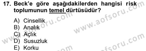 Sosyolojide Yakın Dönem Gelişmeler Dersi 2012 - 2013 Yılı (Vize) Ara Sınav Soruları 17. Soru
