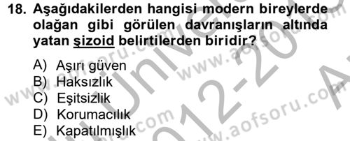 Sosyolojide Yakın Dönem Gelişmeler Dersi 2012 - 2013 Yılı (Vize) Ara Sınav Soruları 18. Soru