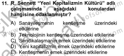 Sosyolojide Yakın Dönem Gelişmeler Dersi 2012 - 2013 Yılı (Final) Dönem Sonu Sınav Soruları 11. Soru