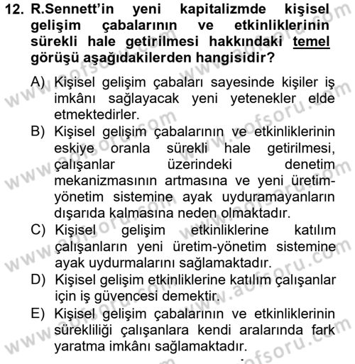 Sosyolojide Yakın Dönem Gelişmeler Dersi 2012 - 2013 Yılı (Final) Dönem Sonu Sınav Soruları 12. Soru